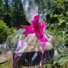 Birthday Gif For Her Best Friend (20 Piece Set)