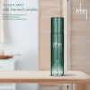 Revivifying Toner Mist With Marine Complex - When