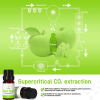 Green Apple