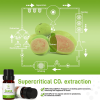 Guava