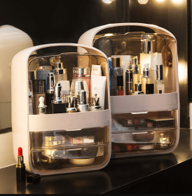 Makeup Organizer Cosmetic Case With Clear Flip Top Modern Design Portable