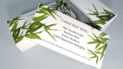 Two - 500 Double-Ended Bamboo Stick Cotton Swabs