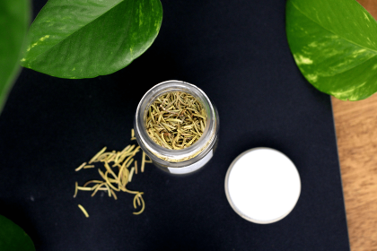 Organic Rosemary