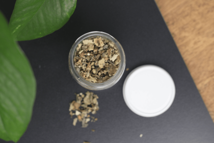 Organic Mullein