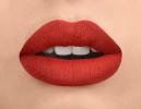 Retractable Matte Lip Liner With Shea Butter